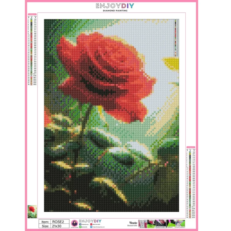 Rose - Image 14
